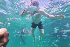 Snorkeling