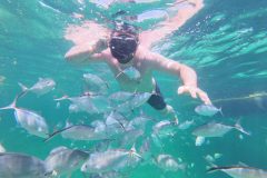Snorkeling