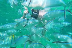 Snorkeling