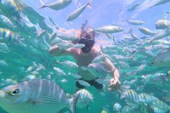 Snorkeling