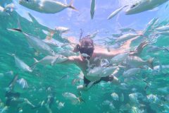 Snorkeling