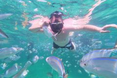 Snorkeling