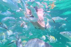 Snorkeling