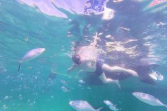 Snorkeling