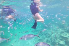 Snorkeling