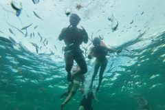 Snorkeling
