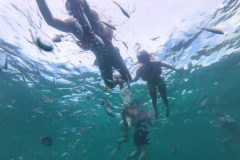 Snorkeling