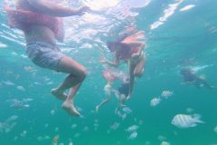 Snorkeling