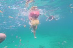 Snorkeling