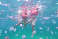 Snorkeling