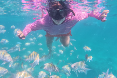 Young snorkeler exploring vibrant coral reefs and tropical fish in crystal-clear Punta Cana waters