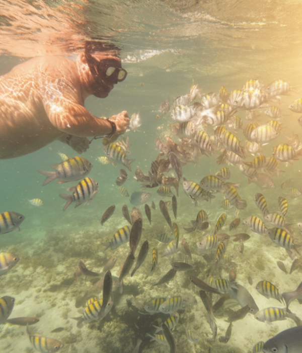 Underwater snorkeling tour in Punta Cana - Explore coral reefs and tropical fish - Taxi Boat Punta Cana
