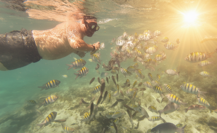 Underwater snorkeling tour in Punta Cana - Explore coral reefs and tropical fish - Taxi Boat Punta Cana
