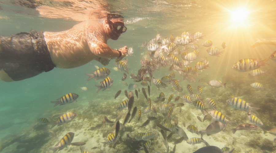 Underwater snorkeling tour in Punta Cana - Explore coral reefs and tropical fish - Taxi Boat Punta Cana