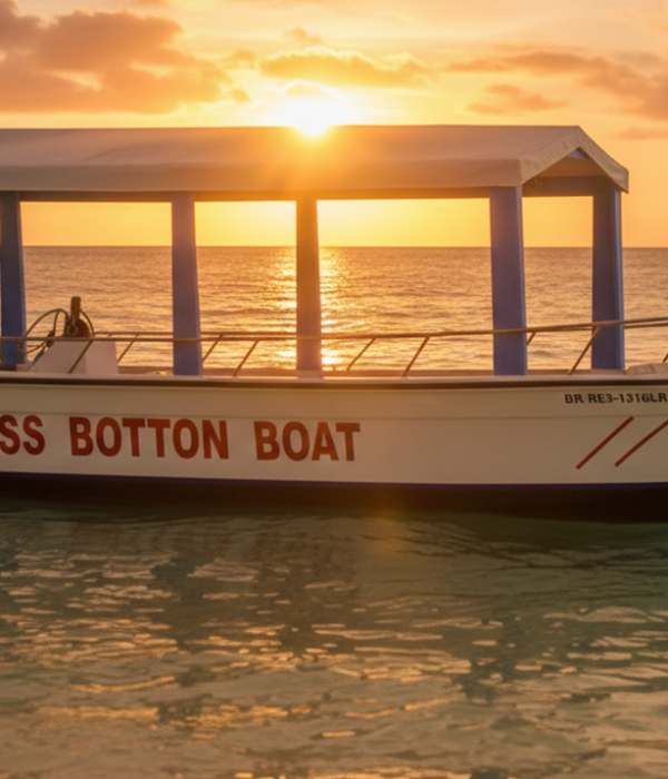 Glass Bottom Boat Tour in Punta Cana - View marine life without swimming