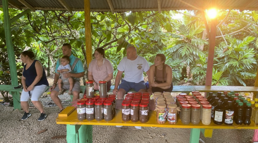 Higuey City Tour and Basilica visit - Cultural trip from Punta Cana - Taxi Boat Punta Cana
