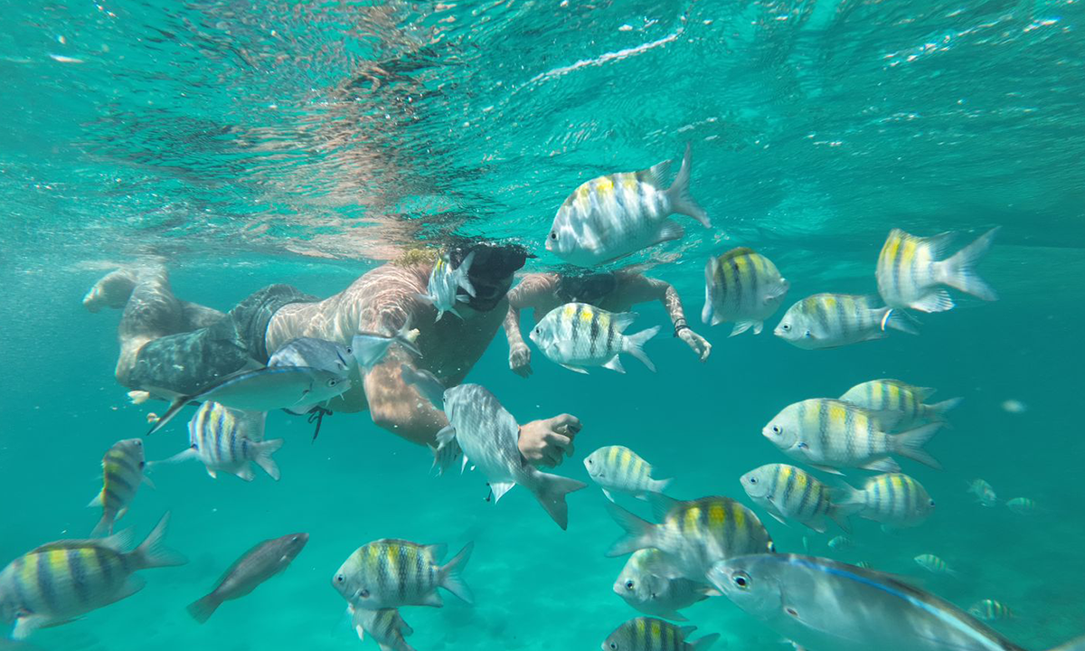 Snorkeling in crystal-clear Caribbean waters near Punta Cana