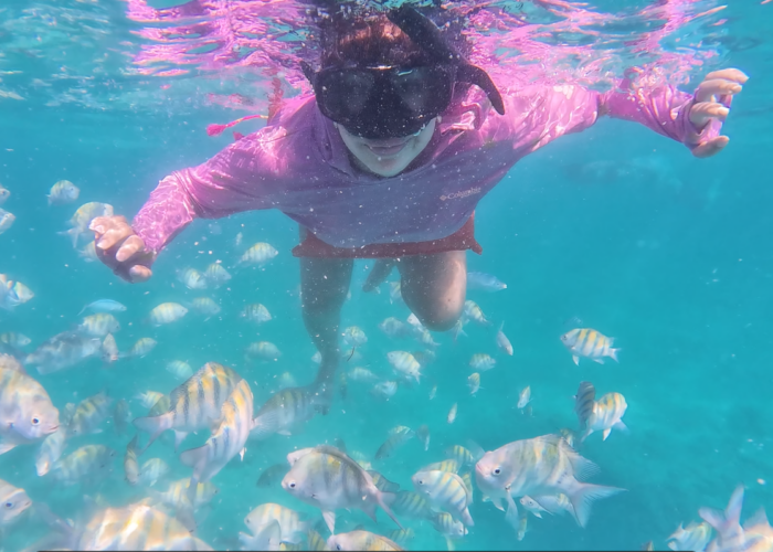 Child snorkeling in turquoise Punta Cana waters with tropical fish during taxiboat tour