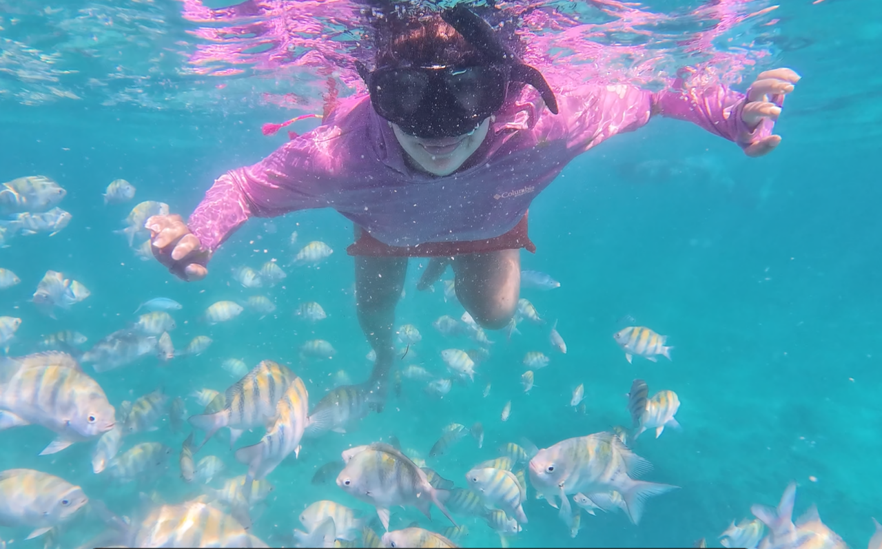 Child snorkeling in turquoise Punta Cana waters with tropical fish during taxiboat tour