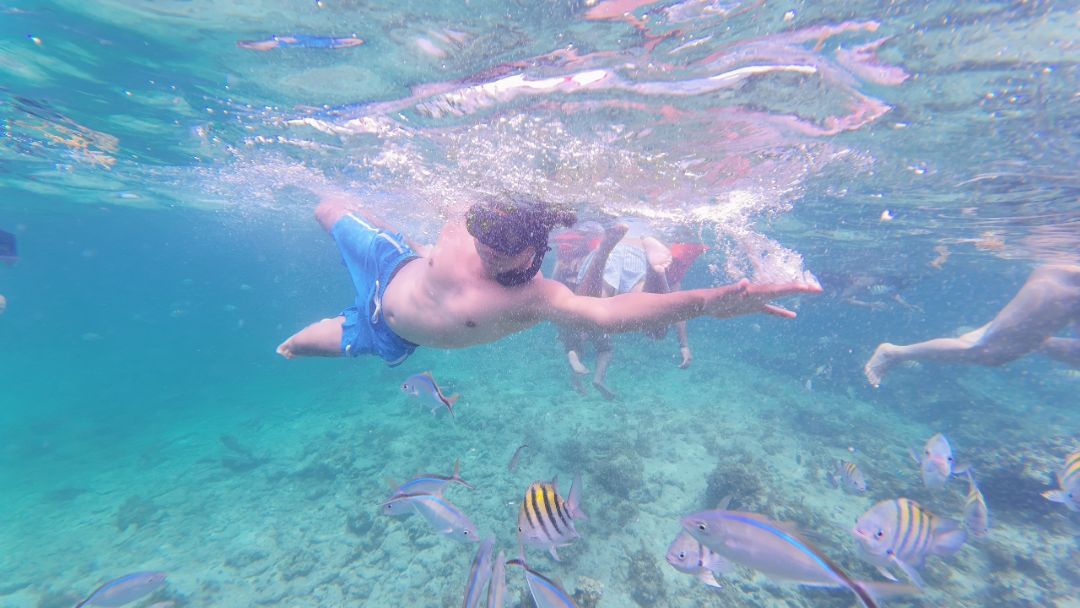 Man snorkeling in crystal clear turquoise waters with colorful tropical fish at Fun Punta Cana Tours