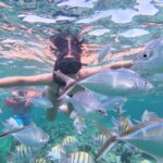 Snorkeler swimming with tropical fish in crystal clear waters - Fun Punta Cana Tours snorkeling adventure