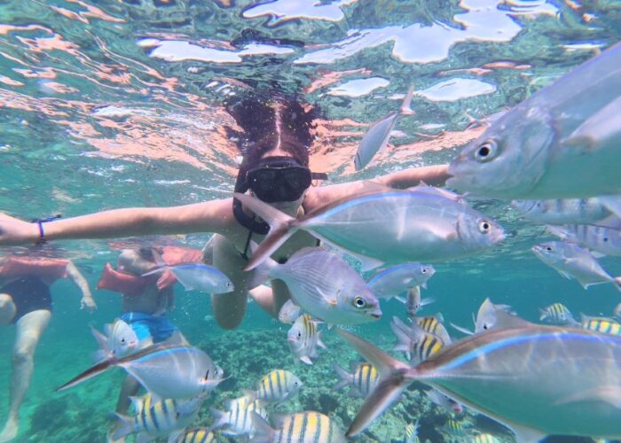 Snorkeler swimming with tropical fish in crystal clear waters - Fun Punta Cana Tours snorkeling adventure